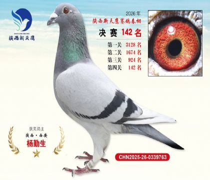 ��������ӥ����142��