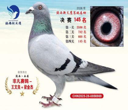 ��������ӥ����145��