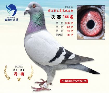 ��������ӥ����144��