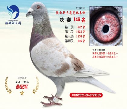 ��������ӥ����146��