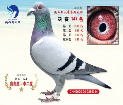 ��������ӥ����147��