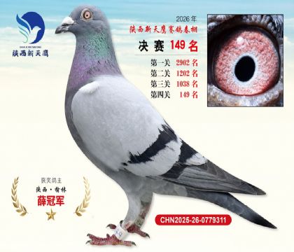 ��������ӥ����149��
