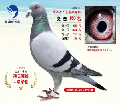 ��������ӥ����150��