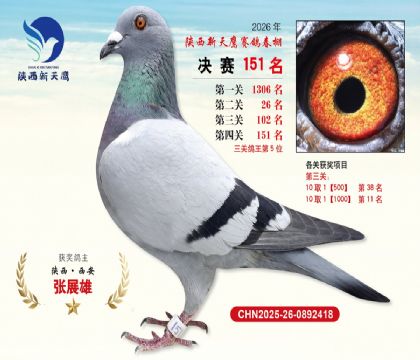 ��������ӥ����151��