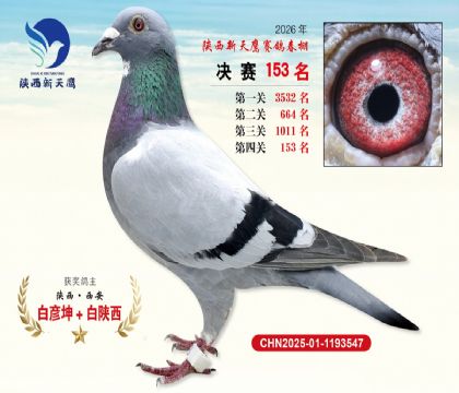 ��������ӥ����153��