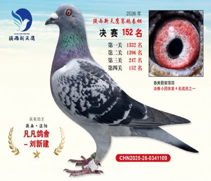 ��������ӥ����152��