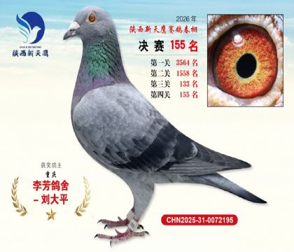 ��������ӥ����155��