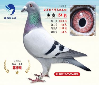 ��������ӥ����154��