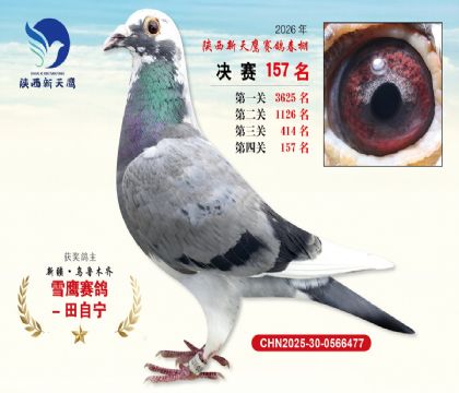 ��������ӥ����157��