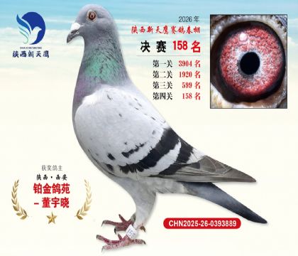 ��������ӥ����158��