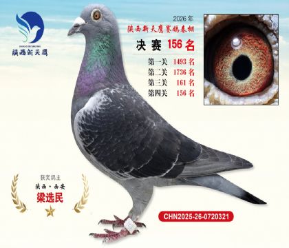 ��������ӥ����156��