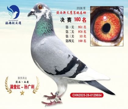 ��������ӥ����160��