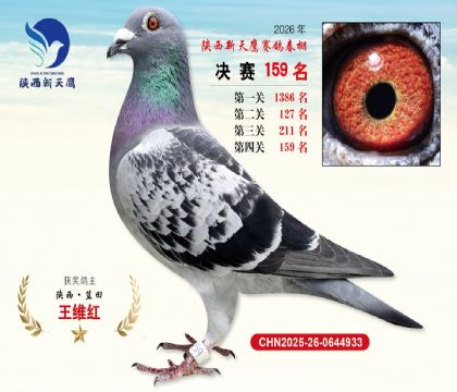 ��������ӥ����159��
