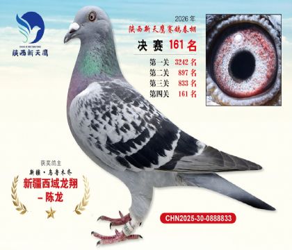 ��������ӥ����161��