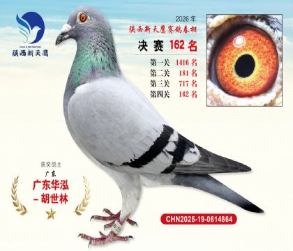 ��������ӥ����162��