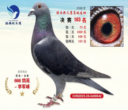��������ӥ����163��