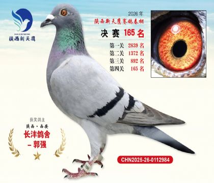 ��������ӥ����165��