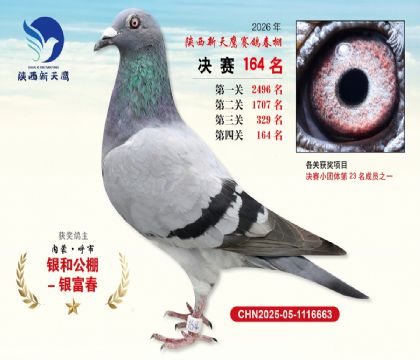 ��������ӥ����164��
