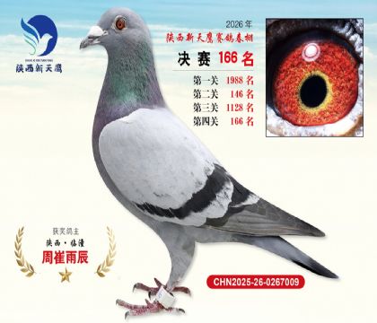 ��������ӥ����166��
