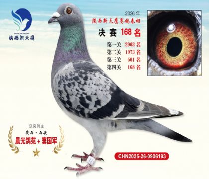 ��������ӥ����168��