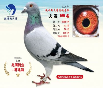 ��������ӥ����169��