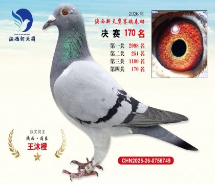 ��������ӥ����170��