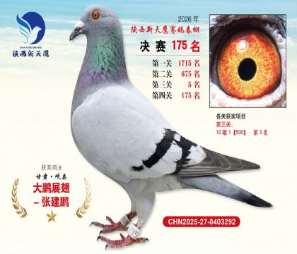 ��������ӥ����175��