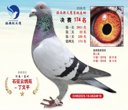 ��������ӥ����174��