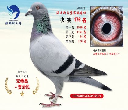 ��������ӥ����176��