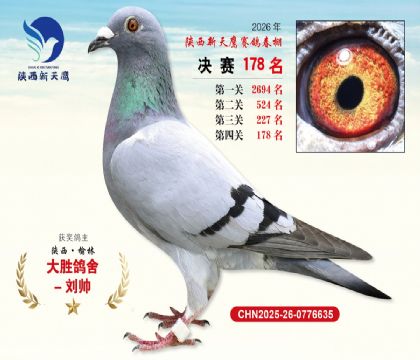 ��������ӥ����178��