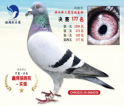 ��������ӥ����177��