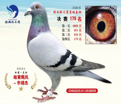 ��������ӥ����179��