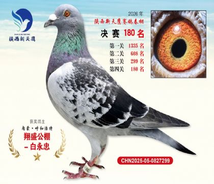 ��������ӥ����180��