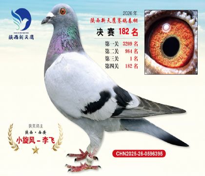 ��������ӥ����182��