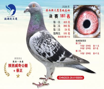 ��������ӥ����181�����Ĺظ���4����