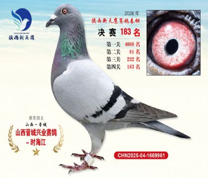 ��������ӥ����183��