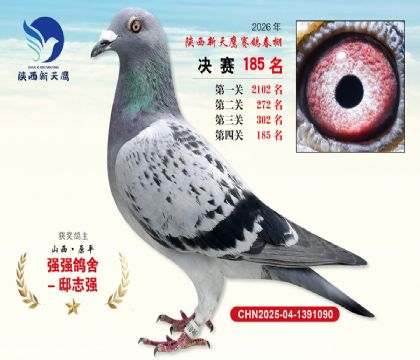 ��������ӥ����185��