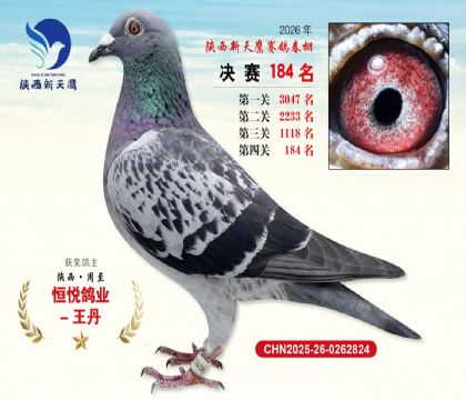 ��������ӥ����184��