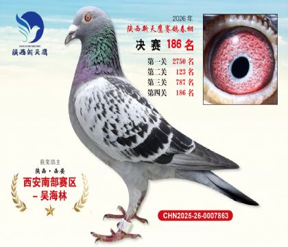 ��������ӥ����186��