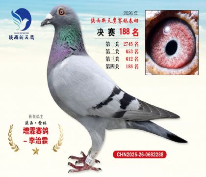 ��������ӥ����188��