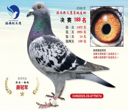 ��������ӥ����189��
