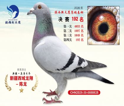 ��������ӥ����192��