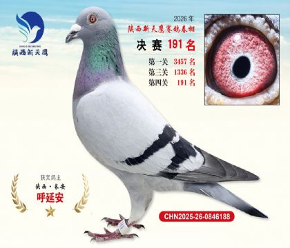 ��������ӥ����191��