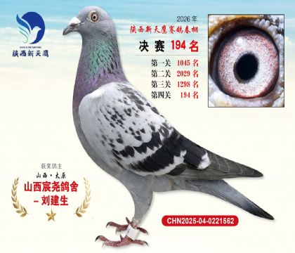 ��������ӥ����194��