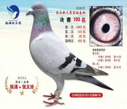��������ӥ����193��