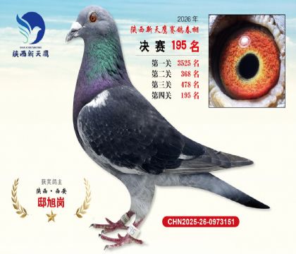 ��������ӥ����195��