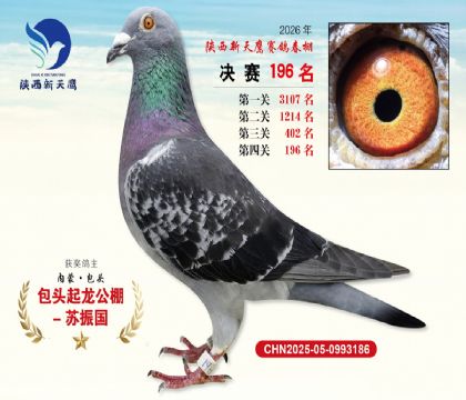 ��������ӥ����196��