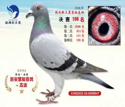 ��������ӥ����198��