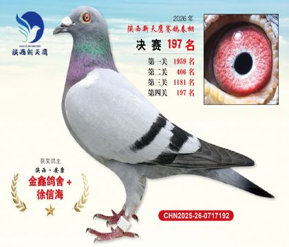 ��������ӥ����197��