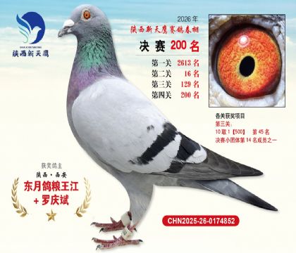 ��������ӥ����200��
